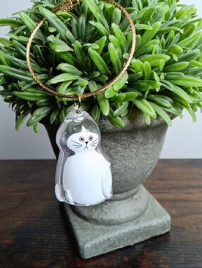 Pet Fur Memorial Transparent 😺 Cat Hair Capsule Keychain